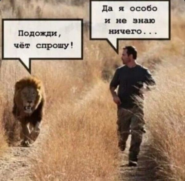 Подожди, чёт спрошу! Да я особо и не знаю ничего...