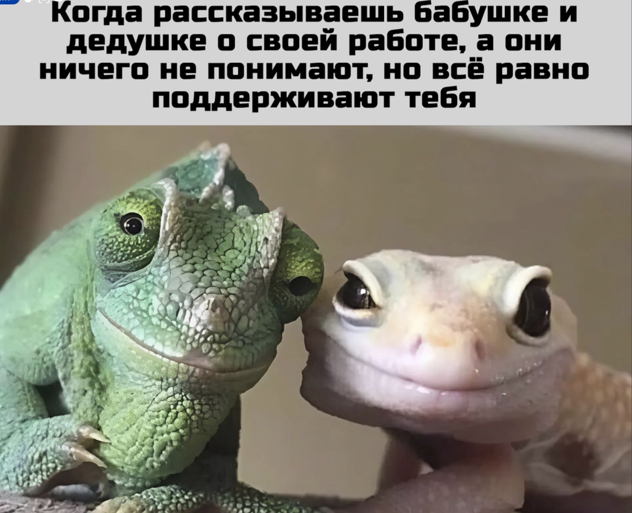 Когда рассказываешь бабушке и дедушке о своей работе, а они ничего не понимают, но всё равно поддерживают тебя