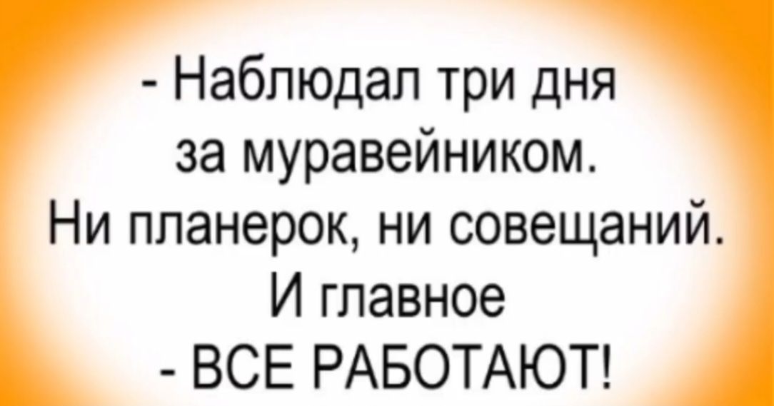 - Наблюдал три дня за муравейником.
Ни планерок, ни совещаний.
И главное - ВСЕ РАБОТАЮТ!