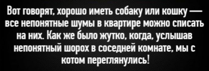 Вот говорят, хорошо иметь собаку или кошку — все непонятные шумы в квартире можно списать на них. Как же было жутко, когда, услышав непонятный шорох в соседней комнате, мы с котом переглянулись!