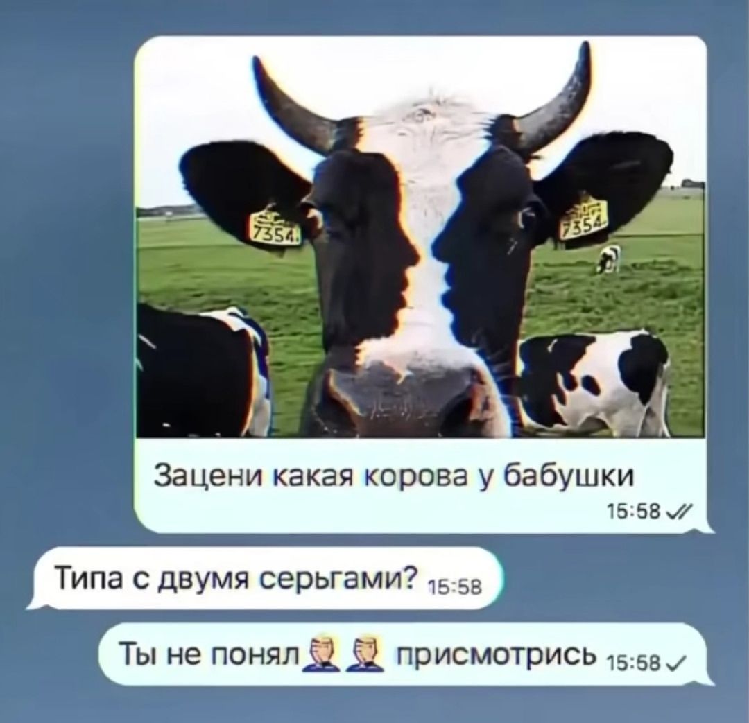Зачени какая корова у бабушки
Типа с двумя сергами?
Ты не понял 🤦‍♂️ присмотрись