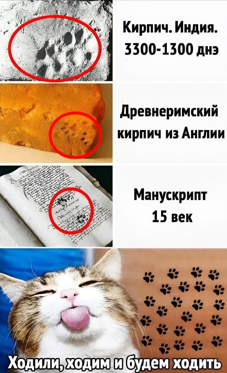 Кирпич. Индия. 3300-1300 дн
Древнеримский кирпич из Англии
Манускрипт 15 век
Ходили, ходим и будем ходить