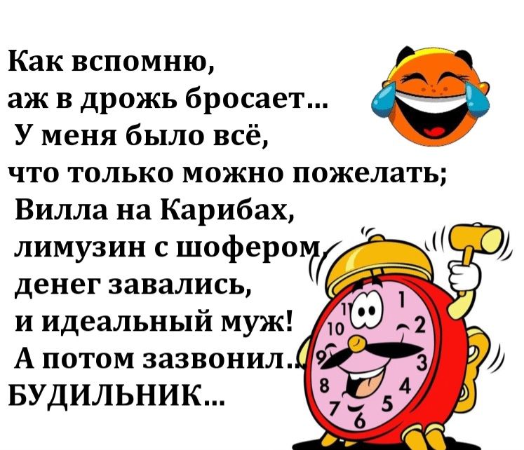Как вспомню,
аж в дрожь бросает...
У меня было всё,
что только можно пожелать;
Вилла на Карибах,
лимузин с шофером,
денег завалис,
и идеальный муж!
А потом зазвонил...
БУДИЛЬНИК...