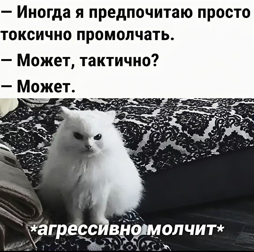 – Иногда я предпочитаю просто токсично промолчать.
– Может, тактично?
– Может.
*агрессивно молчит*