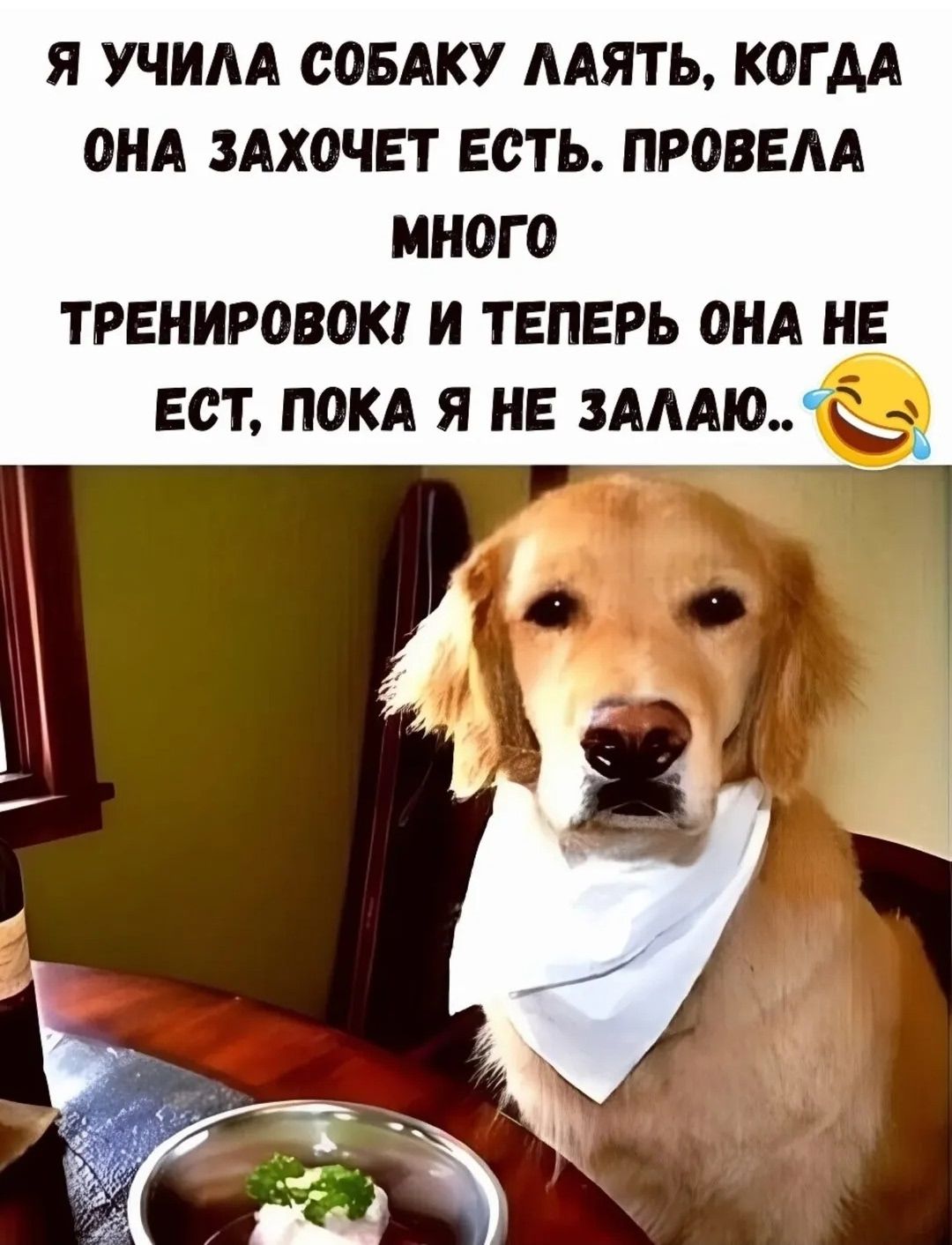 Я УЧИЛА СОБАКУ ЛАЯТЬ, КОГДА ОНА ЗАХОЧЕТ ЕСТЬ. ПРОВЕЛА МНОГО ТРЕНИРОВОК! И ТЕПЕРЬ ОНА НЕ ЕСТ, ПОКА Я НЕ ЗАЛАЮ.. 😂