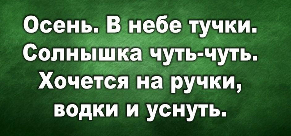 Осень. В небе тучки. Солнышка чуть-чуть. Хочется на ручки, водки и уснуть.