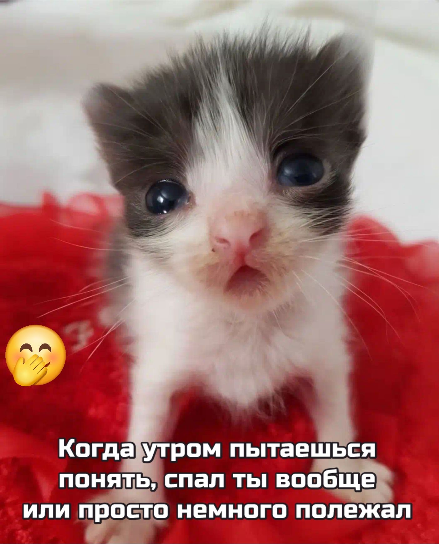 Когда утром пытаешься понять, спал ты вообще или просто немного полежал
