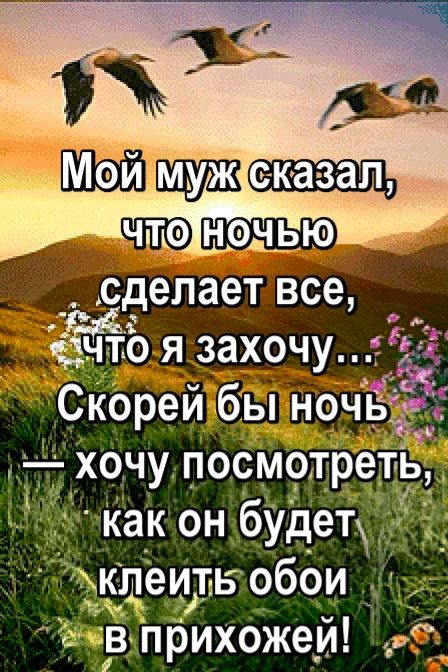 Мой муж сказал, что ночью сделает все, что я захочу... Скорей бы ночь — хочу посмотреть, как он будет клеить обои в прихожей!