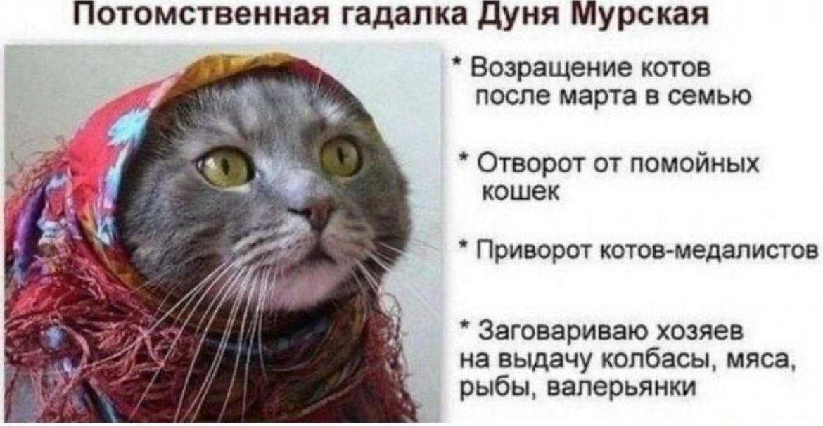Потомственная гадалка Дуня Мурская
- Возвращение котов после марта в семью
- Отворот от помойных кошек
- Приворот котов-медалистов
- Заговориваю хозяев на выдачу колбасы, мяса, рыбы, валерьянки