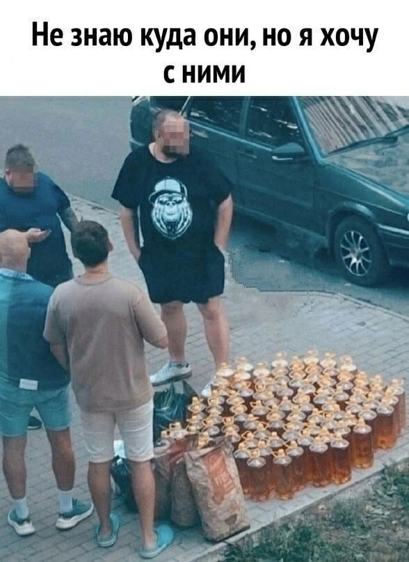 Не знаю куда они, но я хочу с ними