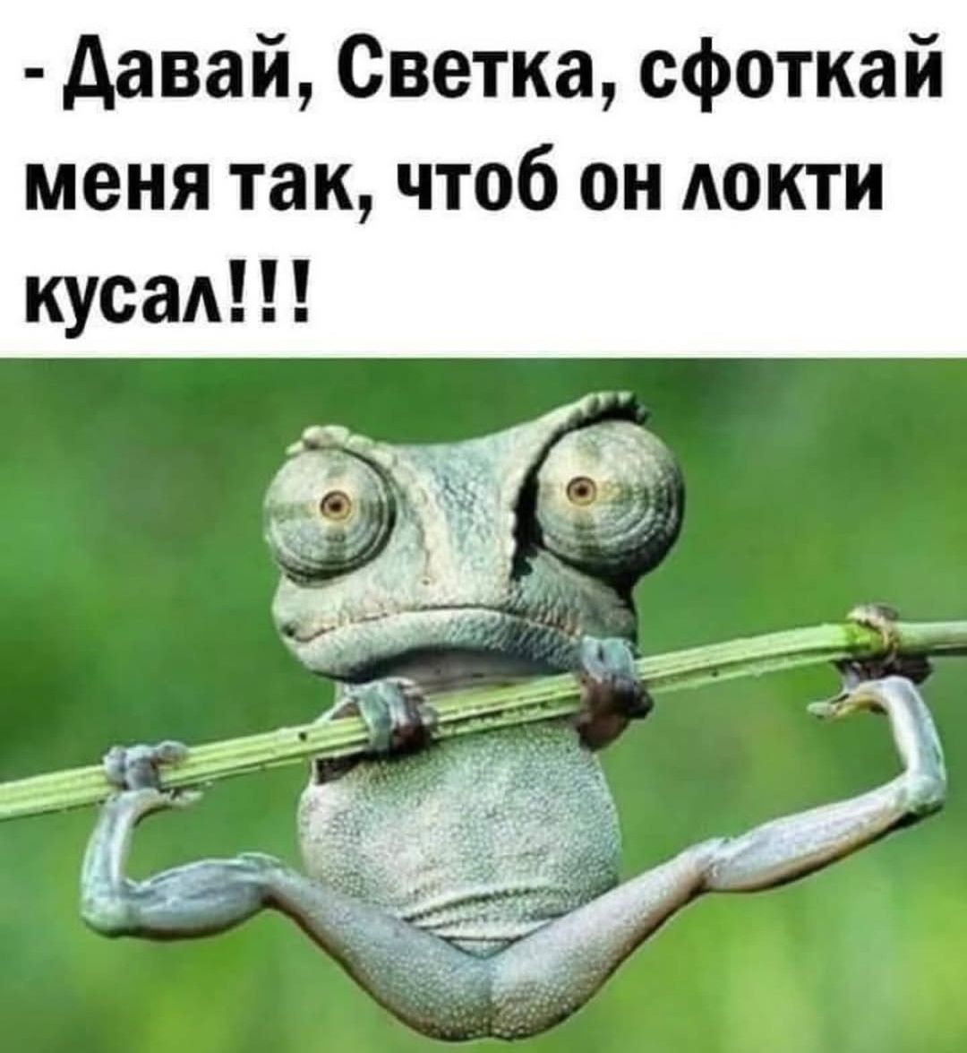 - Давай, Светка, сфоткай меня так, чтоб он локти кусал!!!
