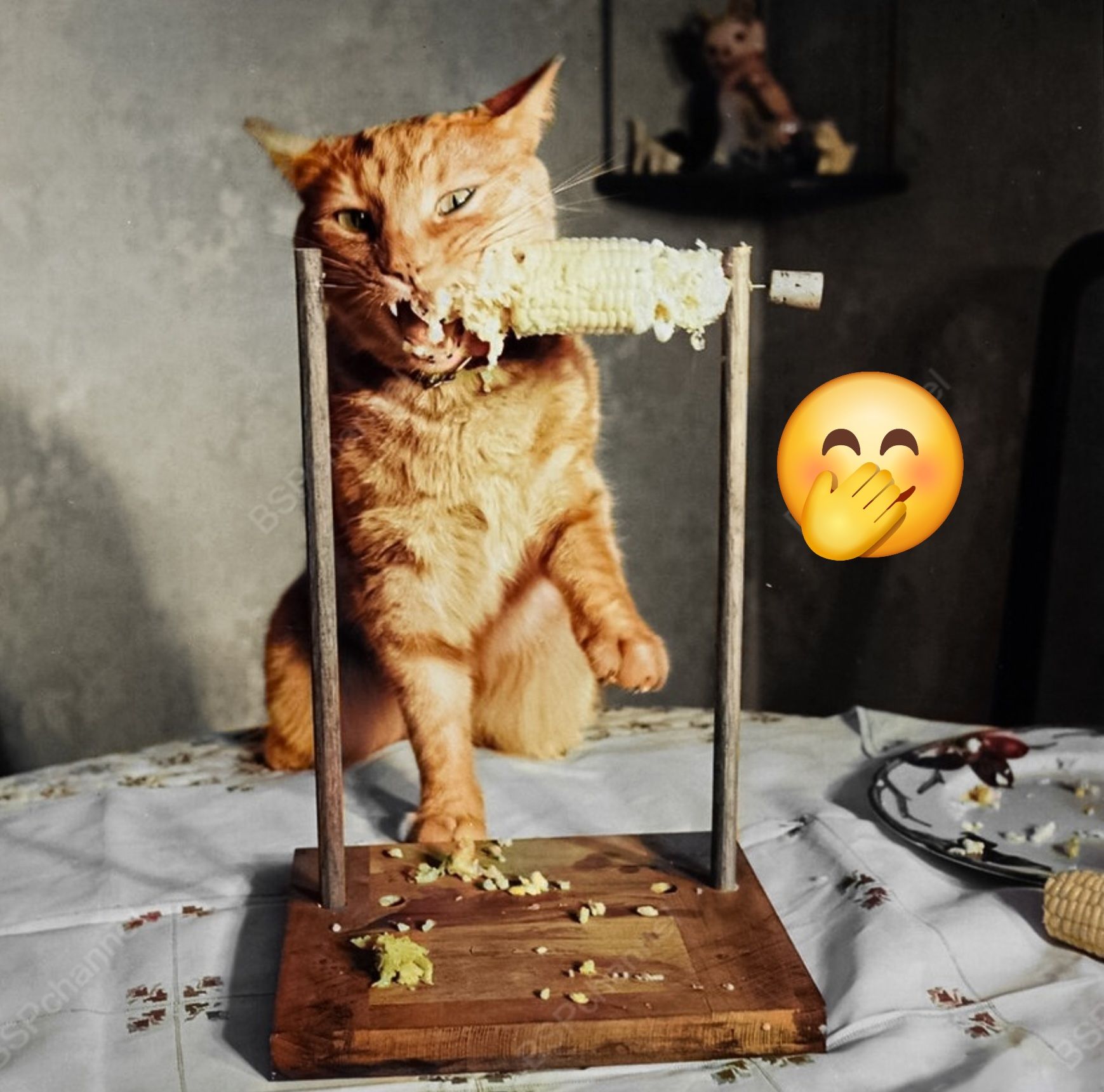 Оранжевый кот держится лапами за деревянную раму и жуёт кукурузу, установленную на горизонтальном барабане; на столе разбросано крошек.