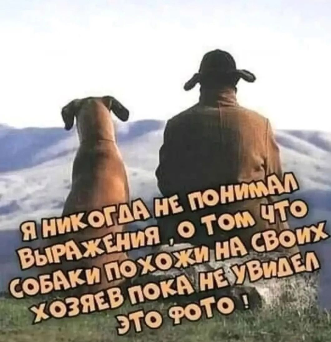 Я НИКОГДА НЕ ПОНИМАЛ ВЫРАЖЕНИЯ О ТОМ ЧТО СОБАКИ ПОХОЖИ НА СВОИХ ХОЗЯЕВ ПОКА НЕ УВИДЕЛ ЭТО ФОТО!