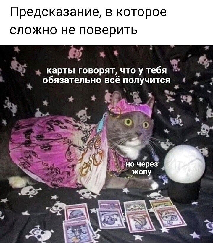 Предсказание, в которое сложно не поверить: карты говорят, что у тебя обязательно всё получится, но через жопу