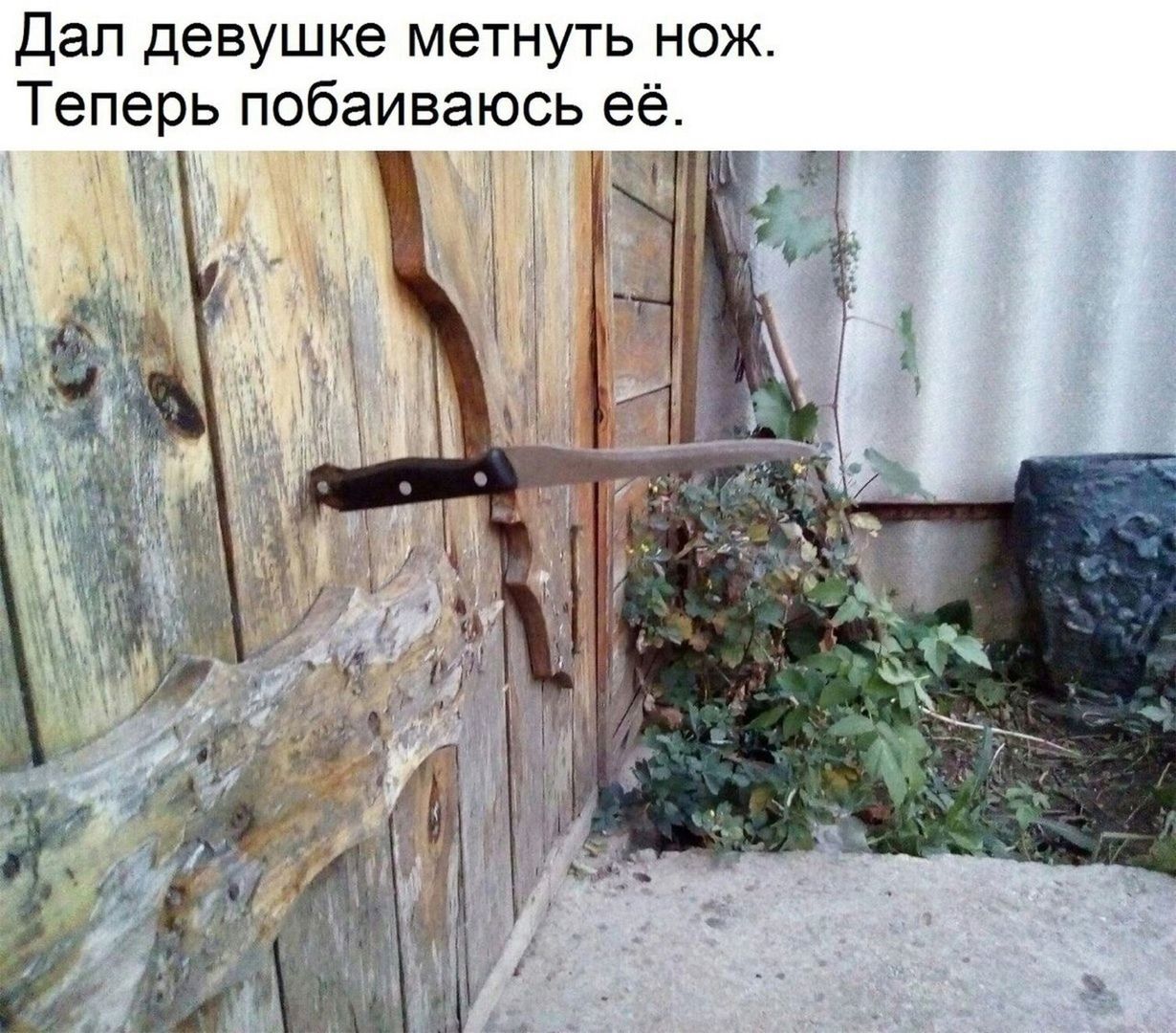 Дал девушке метнуть нож. Теперь побаиваюсь её.