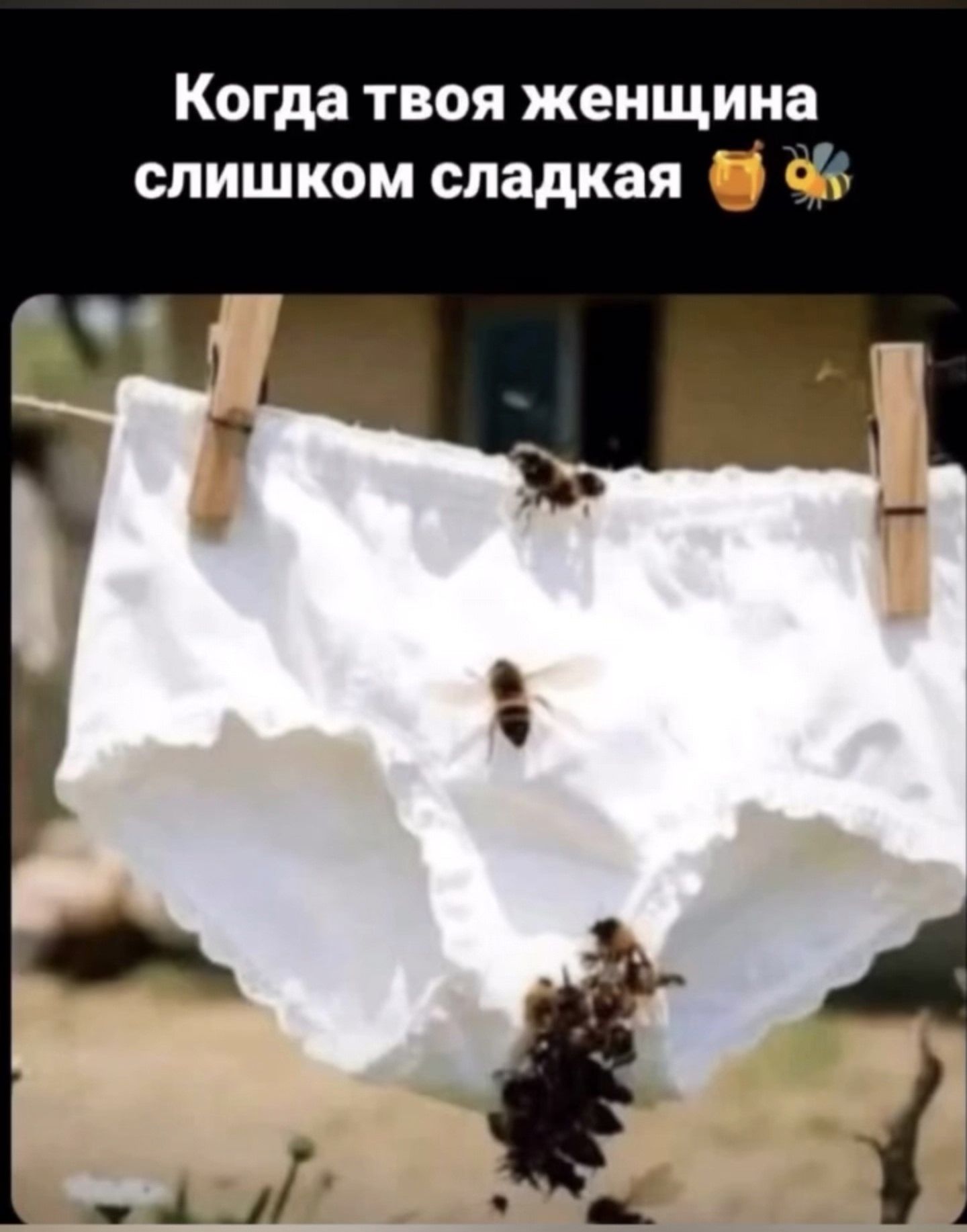 Когда твоя женщина слишком сладкая 👊🐝