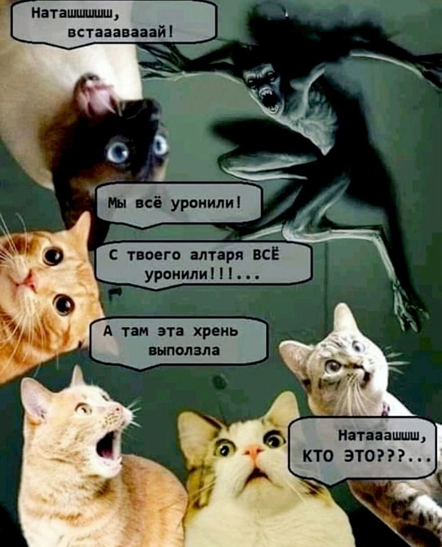 Наташшшш, встаааааай! Мы всё уронили! С твоего алтаря всё уронили!!!... А там эта хрень выползла Наташаашш, КТО ЭТО???...