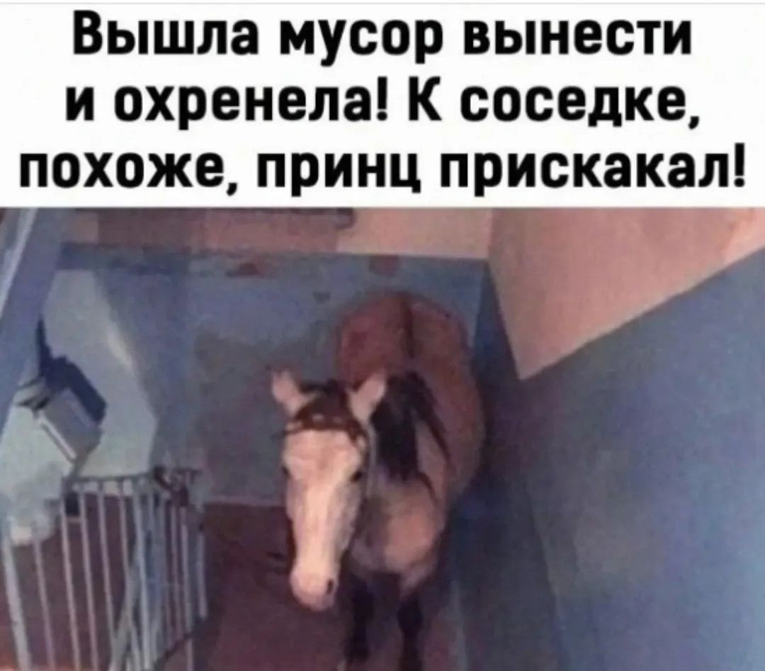 Вышла мусор вынести и охренел! К соседке, похоже, принц прискакал!