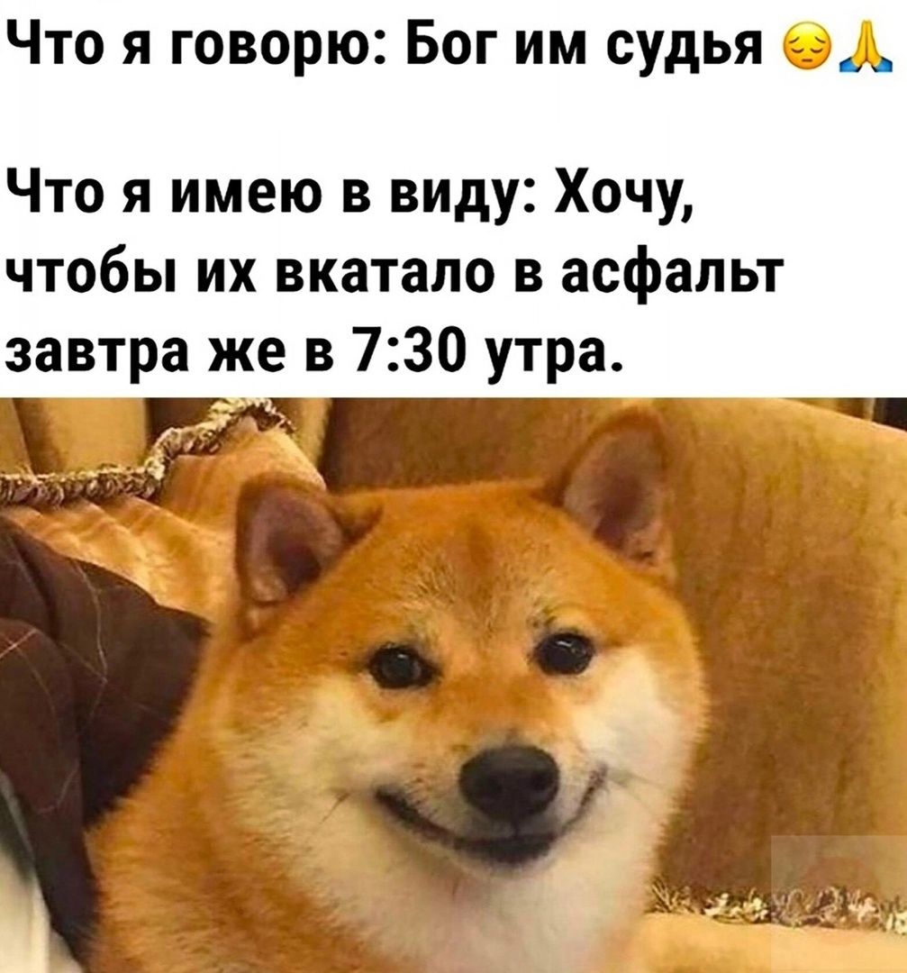 Что я говорю: Бог им судья 🙏 Что я имею в виду: Хочу, чтобы их вкатало в асфальт завтра же в 7:30 утра.