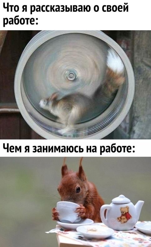 Что я рассказываю о своей работе:
Чем я занимаюсь на работе: