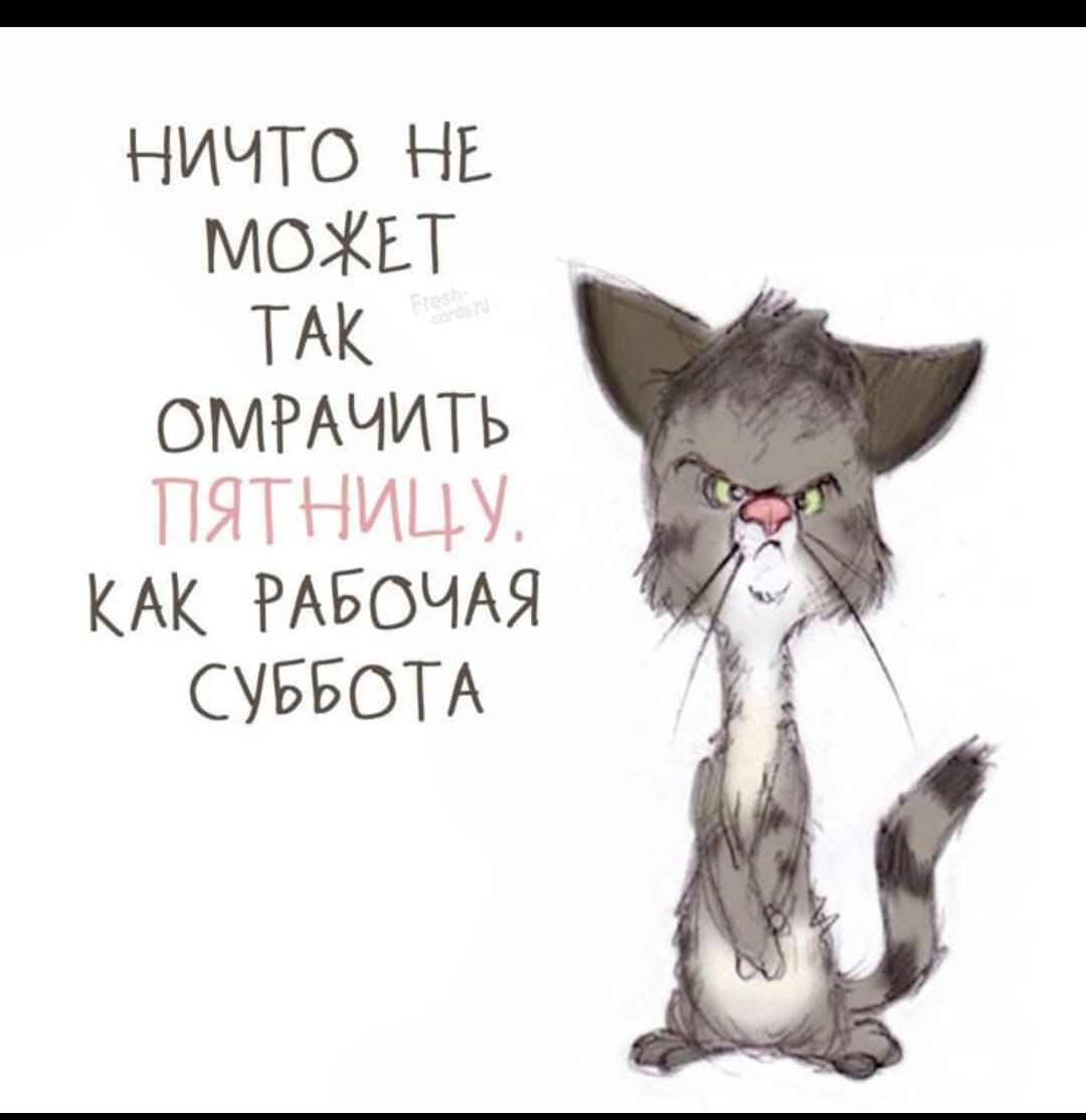 НИЧТО НЕ МОЖЕТ ТАК ОМРАЧИТЬ ПЯТНИЦУ, КАК РАБОЧАЯ СУББОТА