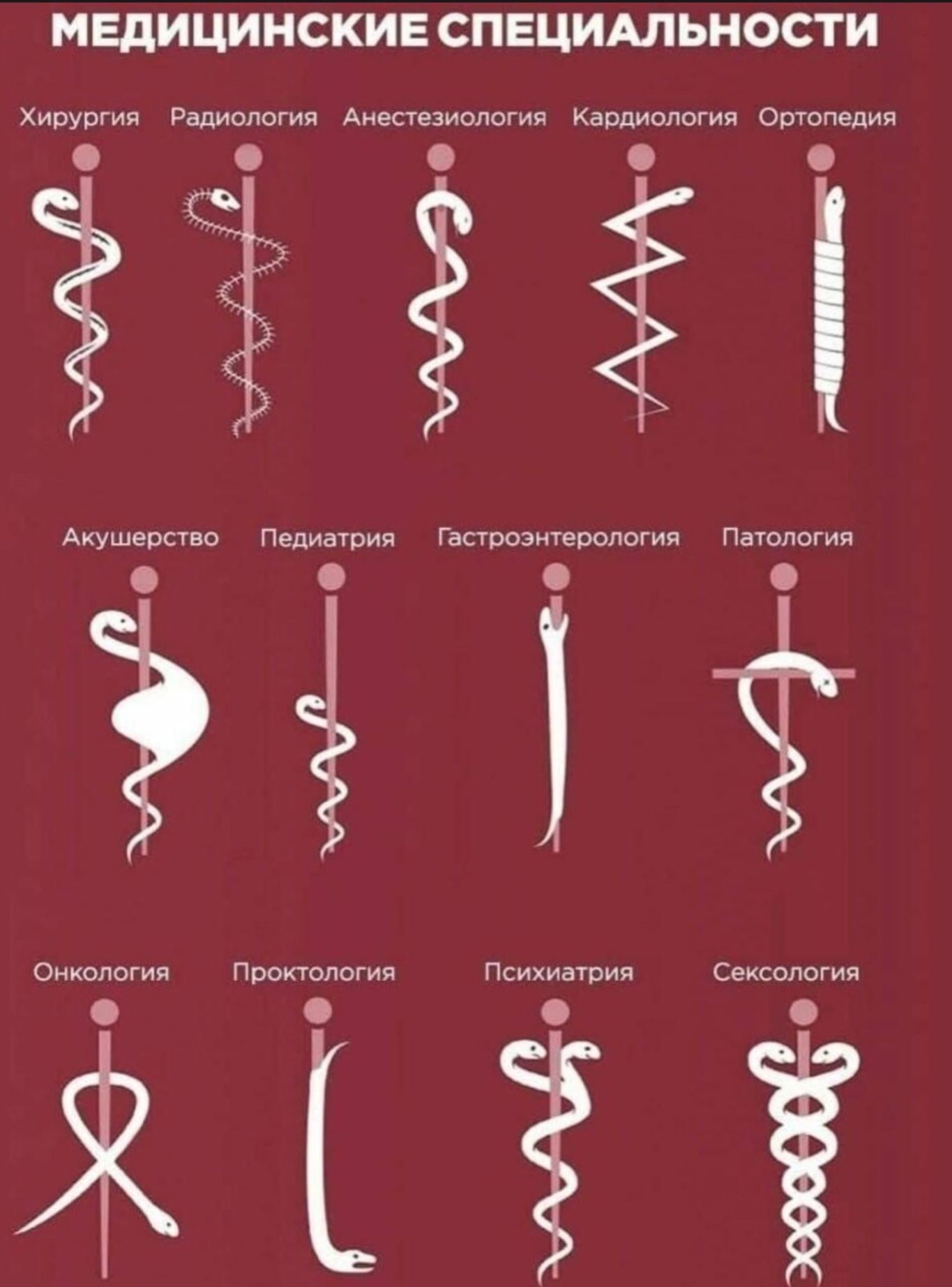 МЕДИЦИНСКИЕ СПЕЦИАЛЬНОСТИ Хирургия Радиология Анестезиология Кардиология Ортотепедия Акушерство Педиатрия Гастроэнтерология Патология Онкология Проктология Психиатрия Сексология