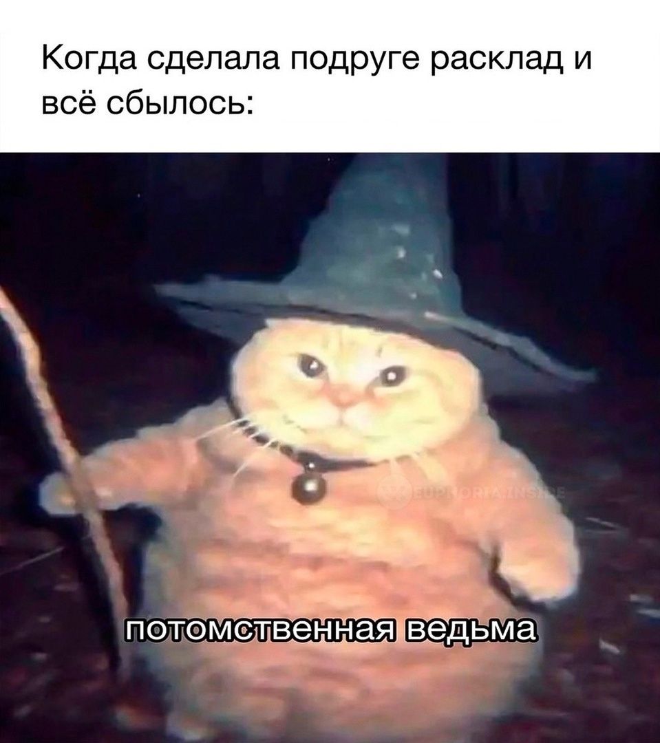 Когда сделала подруге расклад и всё сбылось:
pотомственная ведьма