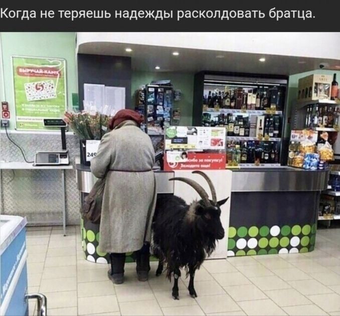 Когда не теряешь надежды расколдовать братца.