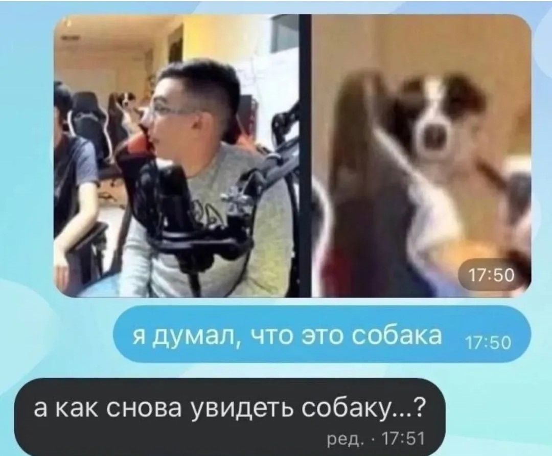 я думал, что это собака
а как снова увидеть собаку...?