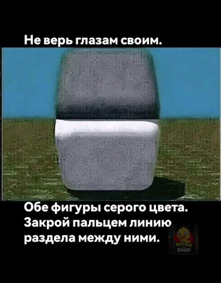 Не верь глазам своим. Обе фигуры серого цвета. Закрой пальцем линию раздела между ними.
