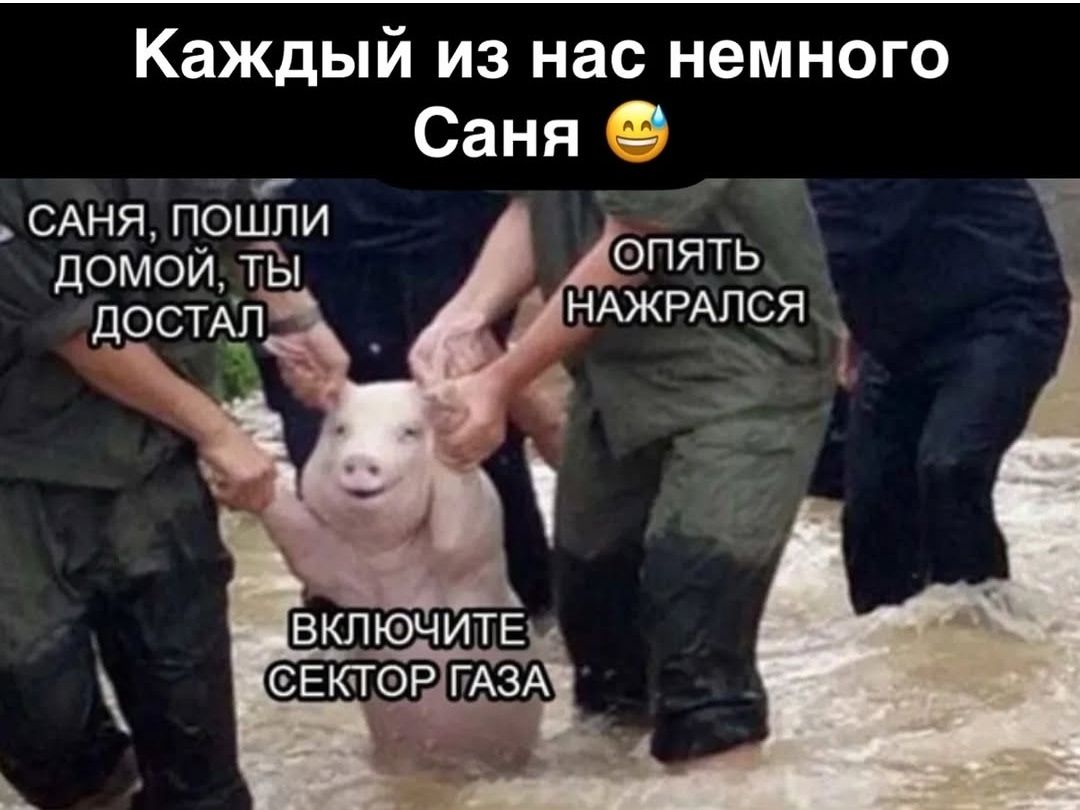 Каждый из нас немного Саня. Саня, пошли домой, ты достал. Опять нажрался. Включите сектор газа.