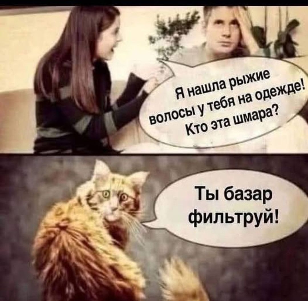 Я нашла рыжие волосы у тебя на одежде! Кто эта шмара? Ты базар фильтруй!