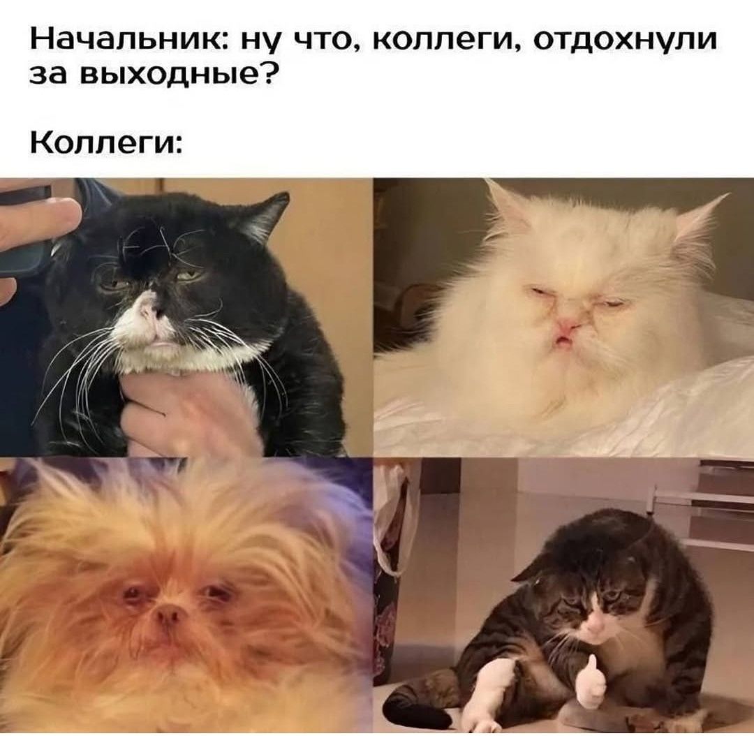 Начальник: ну что, коллеги, отдохнули за выходные? Коллеги: