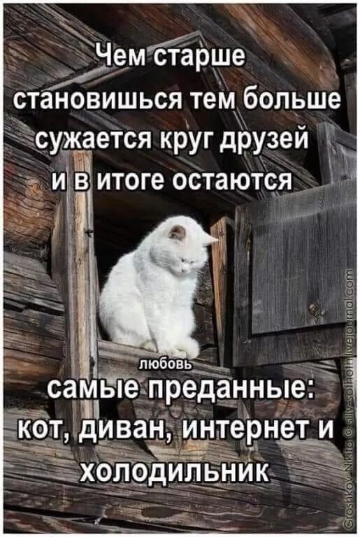 Чем старше становишься тем больше сужается круг друзей и в итоге остаются самые преданные: кот, диван, интернет и холодильник