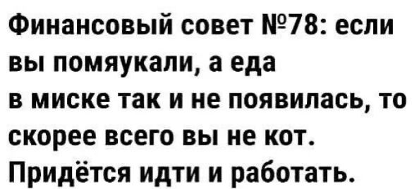 Финансовый совет №78: если вы помаякуали, а еда в миске так и не появилась, то скорее всего вы не кот. Придётся идти и работать.