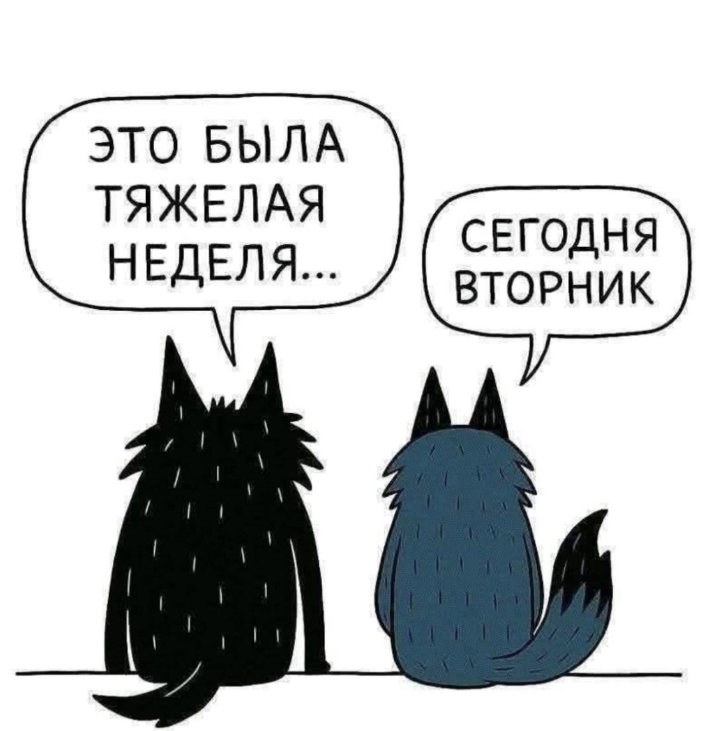 Это была тяжёлая неделя... Сегодня вторник