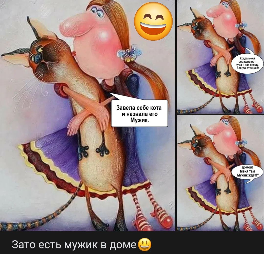 Завела себе кота и назвала его Мужик. Зато есть мужик в доме
