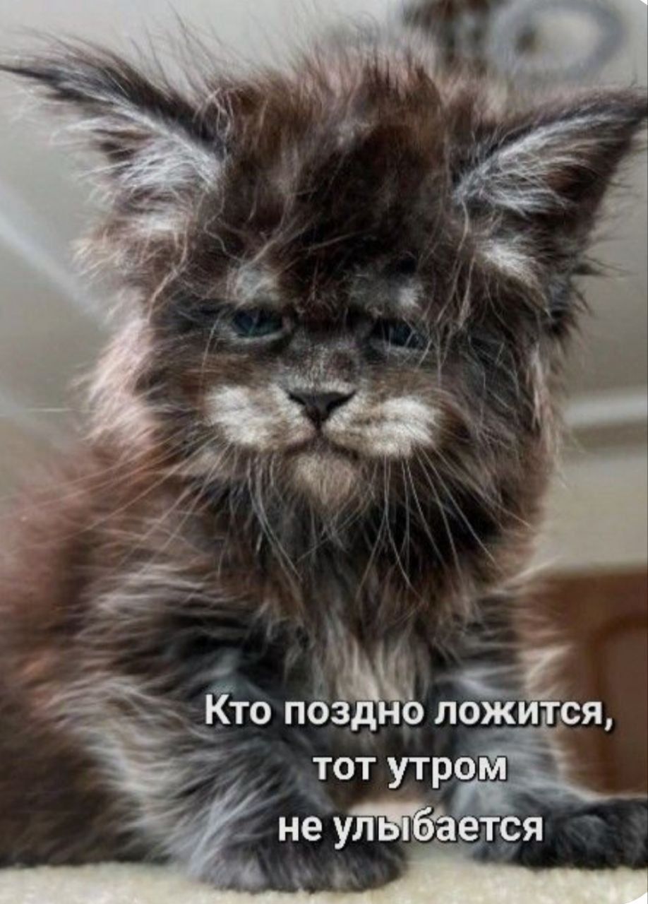 Кто поздно лежится, тот утром не улыбается