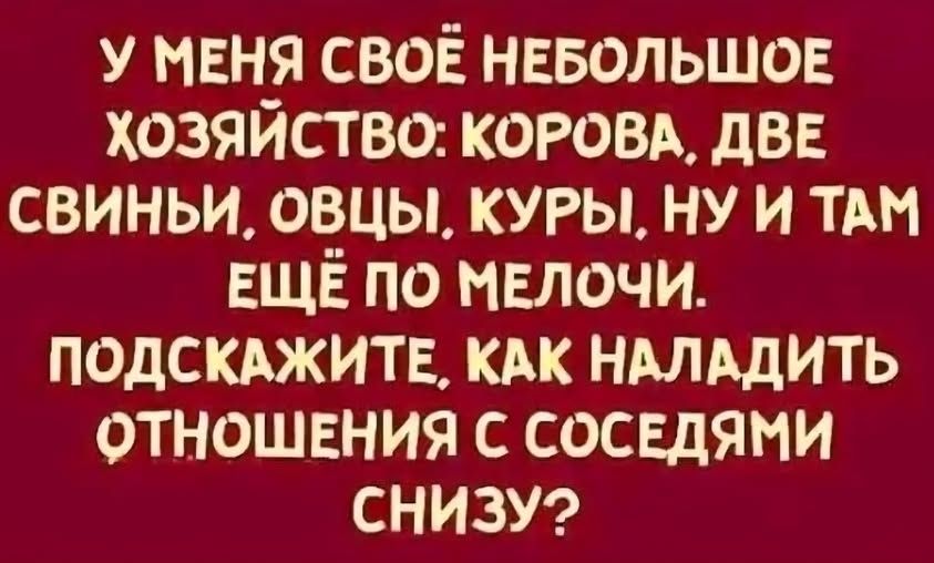 У меня своё небольшое хозяйство: корова, две свины, овцы, куры, ну и там ещё по мелочи. Подскажите, как наладить отношения с соседями снизу?