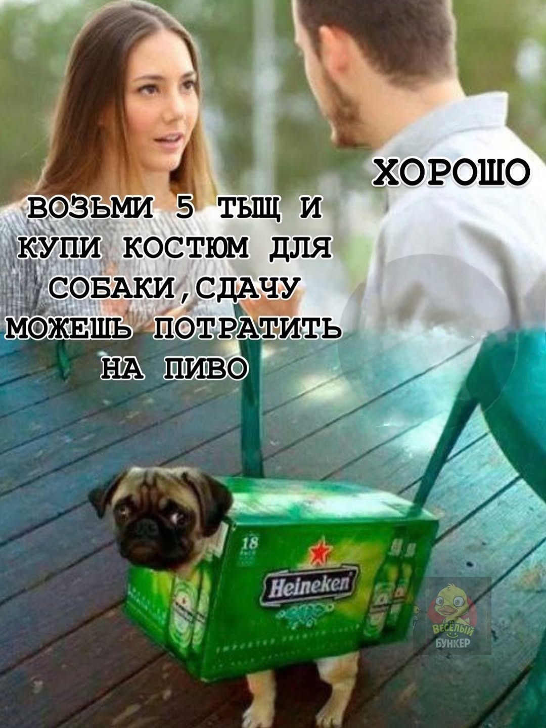 ВОЗЬМИ 5 ТЫС И КУПИ КОСТЮМ ДЛЯ СОБАКИ, СДАЧУ МОЖЕШЬ ПОТРАТИТЬ НА ПИВО
ХОРОШО