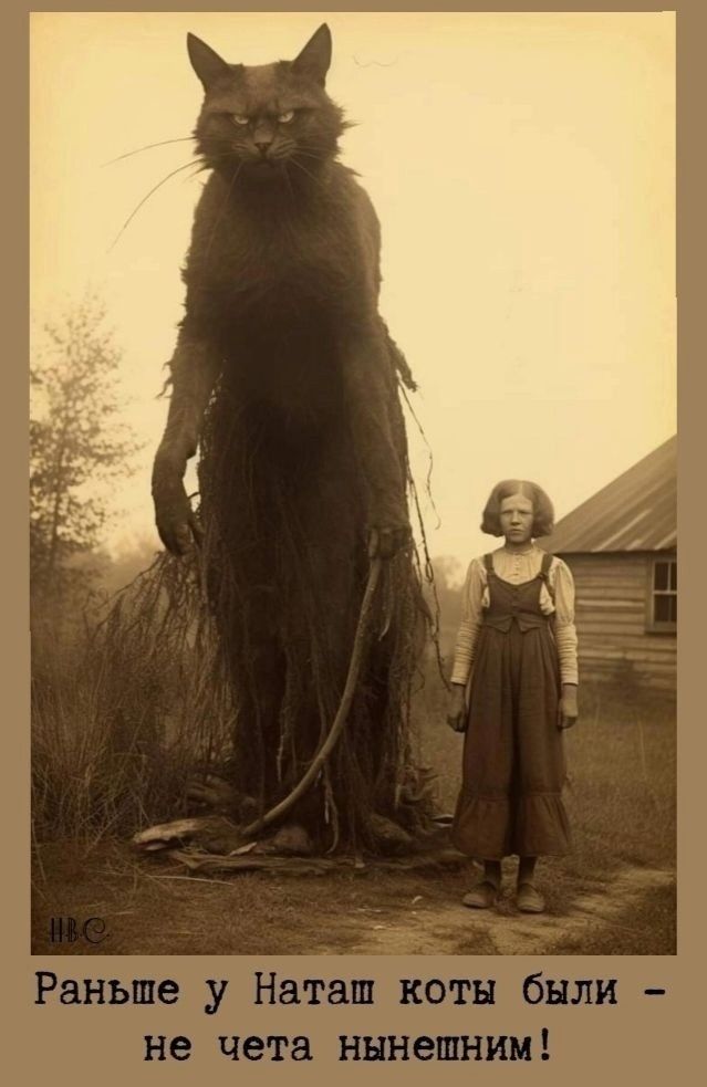 Раньше у Наташ коты были - не чета нынешним!