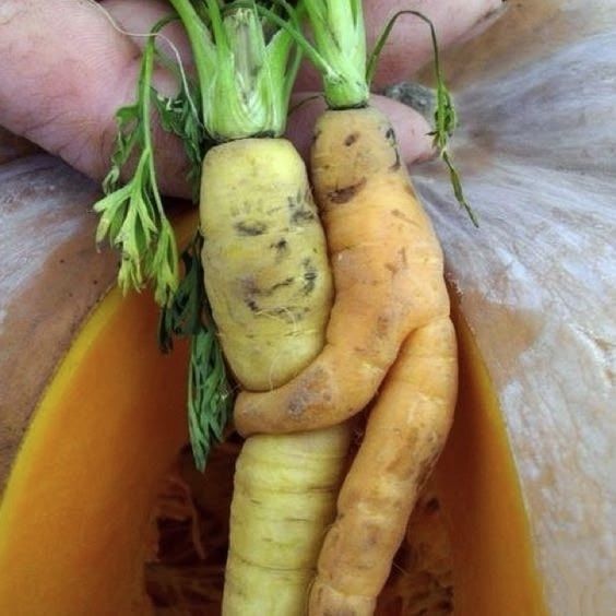 Кривые моркови с зеленью, держат в руке над тарелкой.