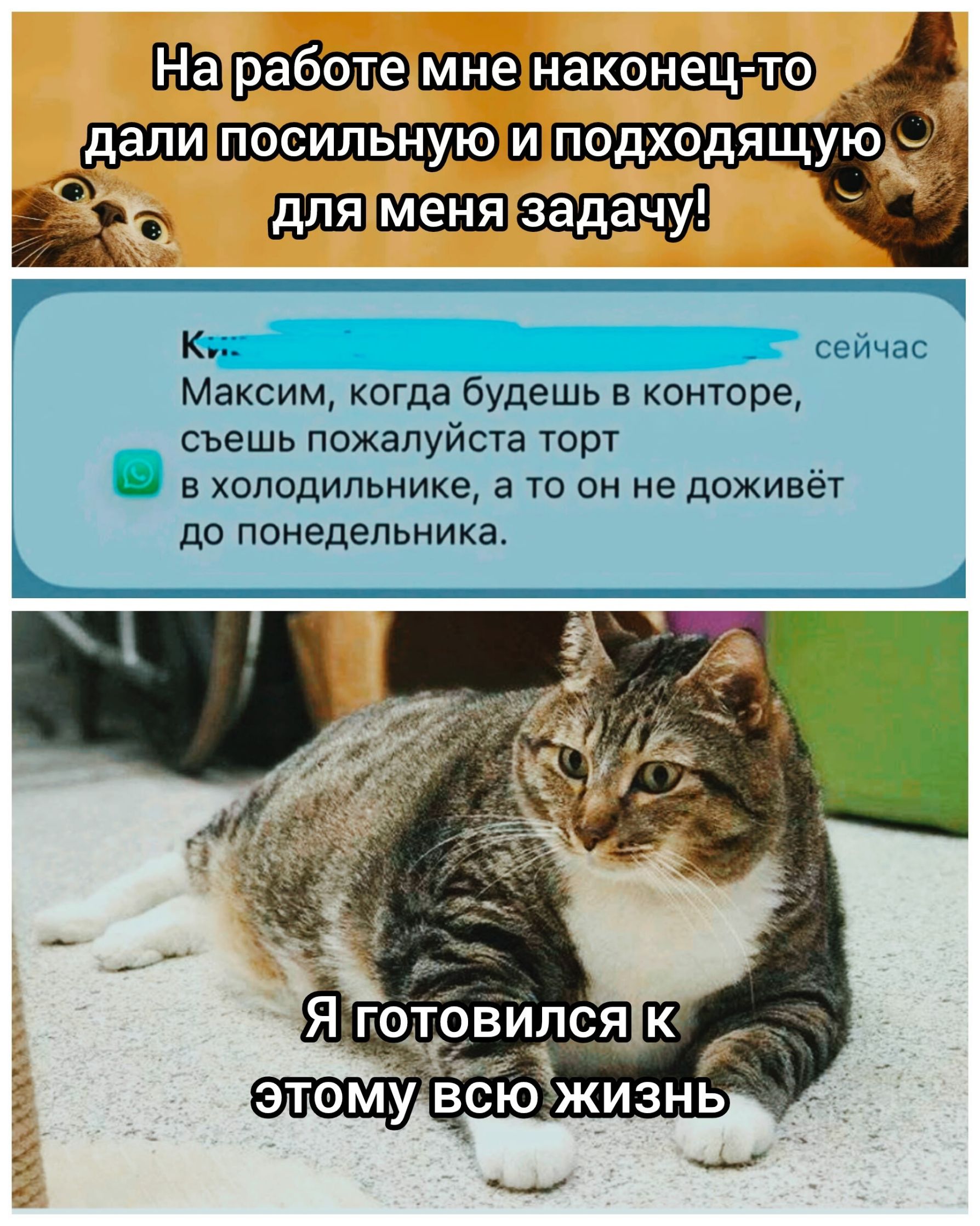 На работе мне наконец-то дали посильную и подходящую для меня задачу! К... сейчас Максим, когда будешь в конторе, съешь пожалуйста торт в холодильнике, а то он не доживёт до понедельника. Я готовился к этому всю жизнь