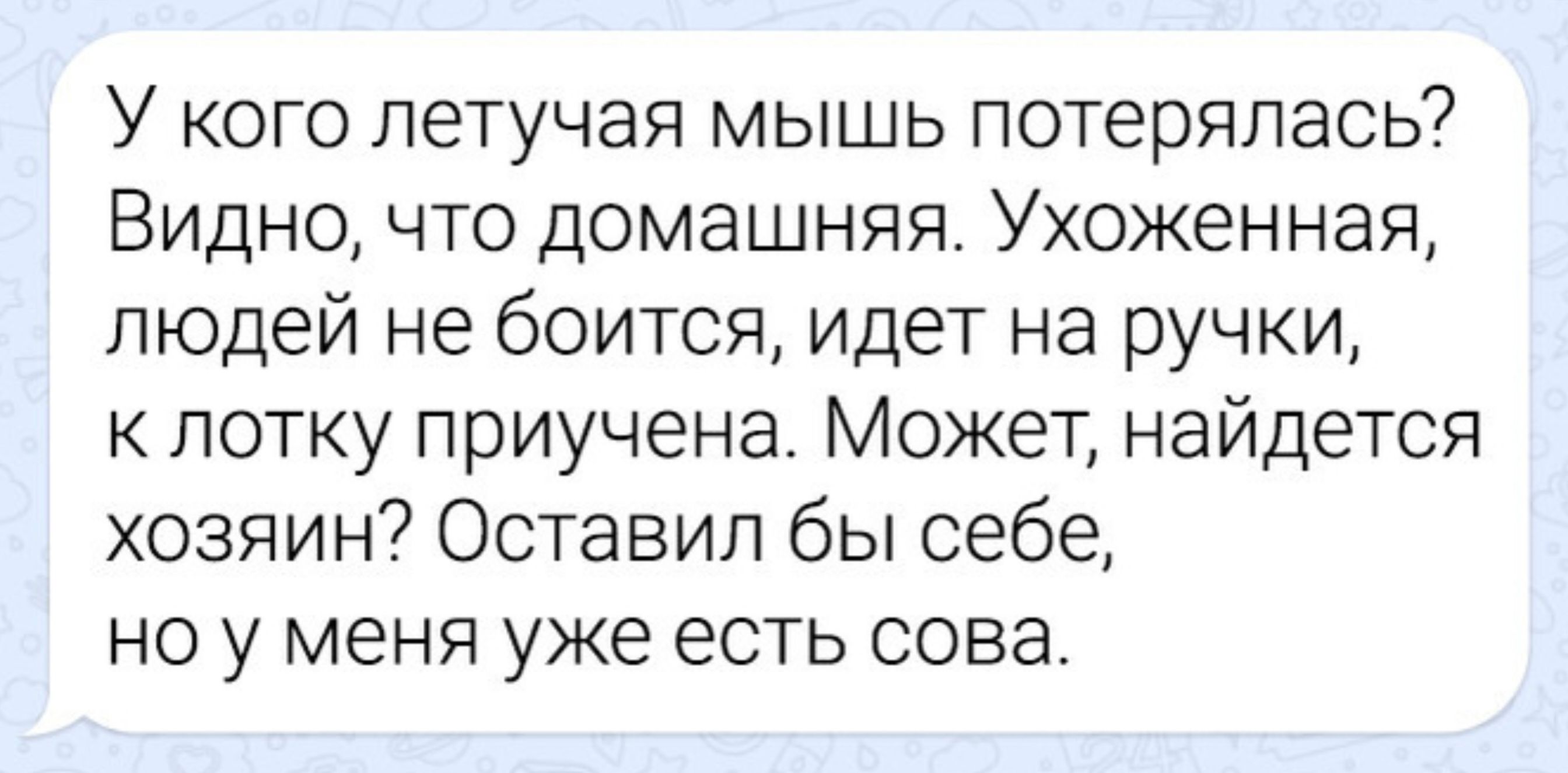 У кого летучая мышь потерялась? Видно, что домашняя. Ухоженная, людей не боится, идет на ручки, к лотку приучена. Может, найдется хозяин? Оставил бы себе, но у меня уже есть сова.