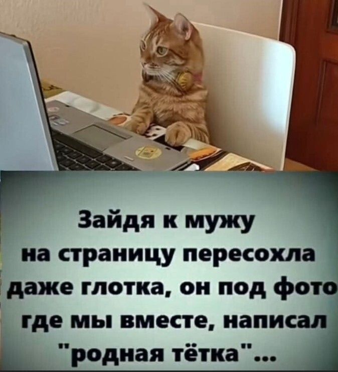 Зайдя к мужу на страницу пересохла даже глотка, он под фото где мы вместе, написал 