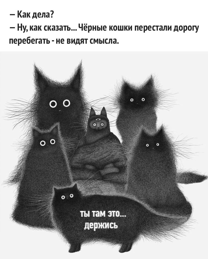 — Как дела? — Ну, как сказать... Чёрные кошки перестали дорогу перебегать - не видят смысла. 
ты там это... держись