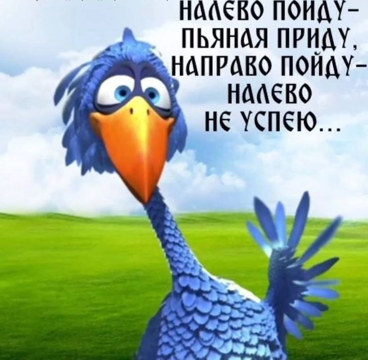 налево пойду - пьяная приду, направо пойду - налево не успею...