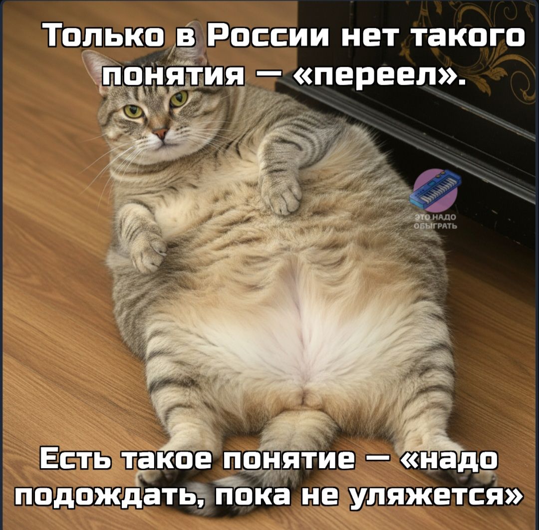 Только в России нет такого понятия – «переел». Есть такое понятие — «надо подождать, пока не уляжется»