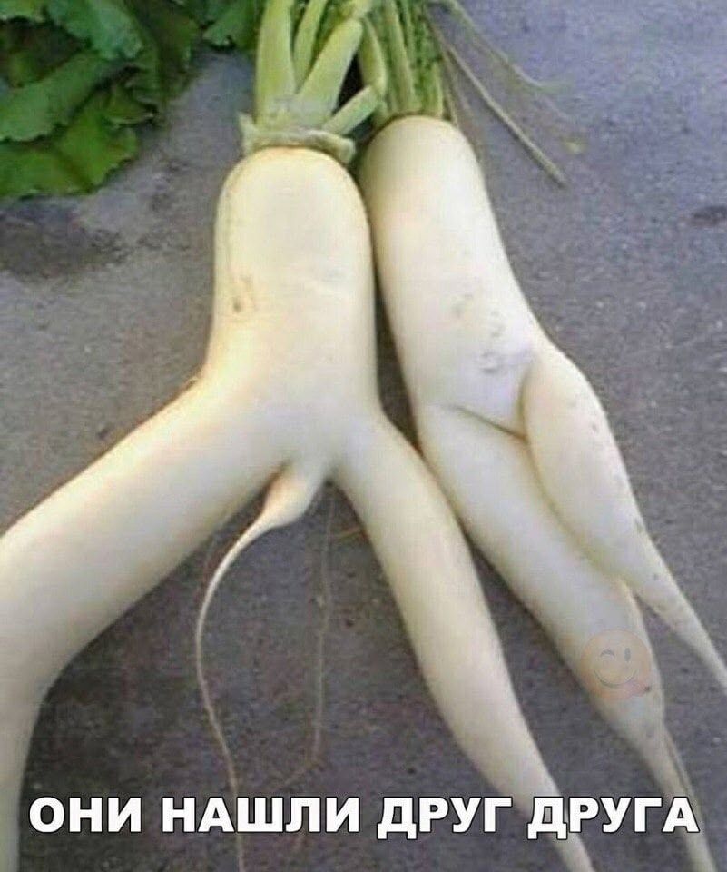 они нашли друг друга