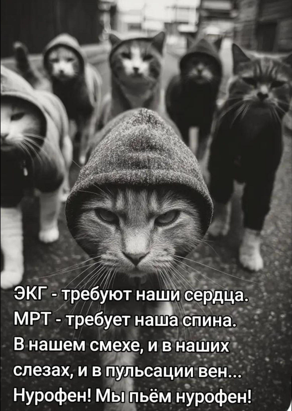 ЭКГ - требуют наши сердца. МРТ - требует наша спина. В нашем смехе, и в наших слезах, и в пульсации вен... Нурофен! Мы пьём нурофен!